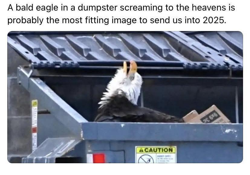 1746132548083.png
