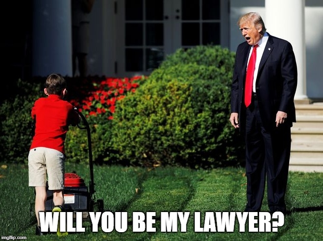 drumpf kid lawyer.jpg