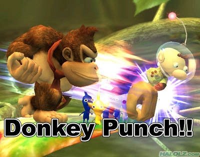 donkey punch.jpg