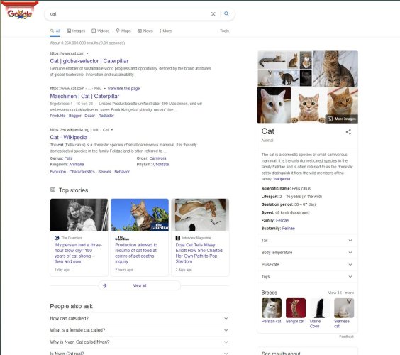 google cat.jpg