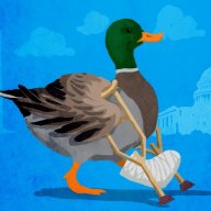 Lame Duck