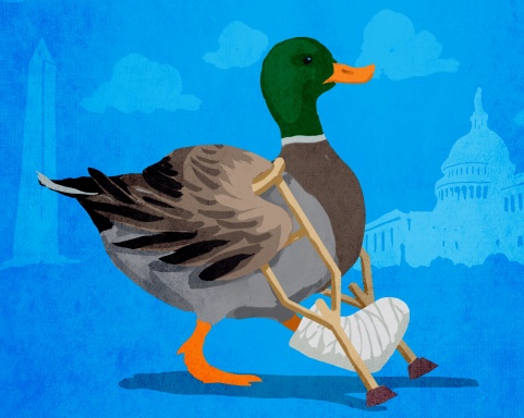 latest pandemic challenge leading lame duck