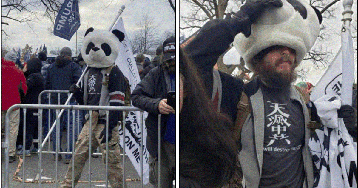 jesse-james-rumson-sedition-panda-arrested.gif