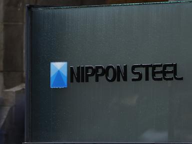 nippon-steel-file-gty-ml-250106_1736169184322_hpMain_4x3t_384.jpg