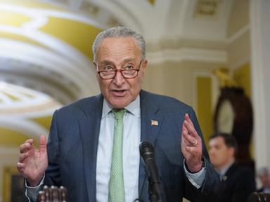 schumer-1-ap-er-240917_1726589753843_hpMain_4x3t_384.jpg