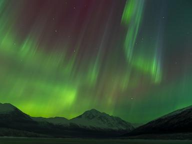 aurora-1-gty-er-250213_1739468523088_hpMain_4x3t_384.jpg