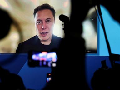 file-musk_1738576025294_hpMain_4x3t_384.jpg