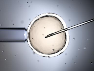 ivf-stock-gty-jef-250218_1739906549683_hpMain_4x3t_384.jpg