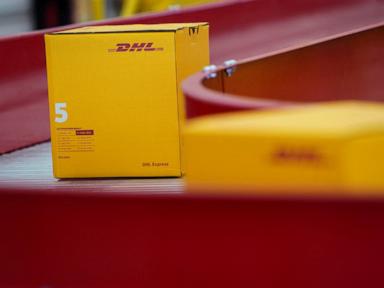 DHL-file_1732516290433_hpMain_4x3t_384.jpg