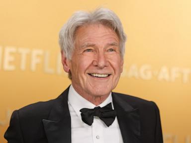 harrison-ford-gty-gmh-250302_1740951674850_hpMain_4x3t_384.jpg