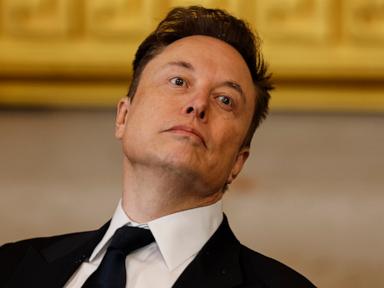 elon-musk-1-ap-gmh-250122_1737574962105_hpMain_4x3t_384.jpg