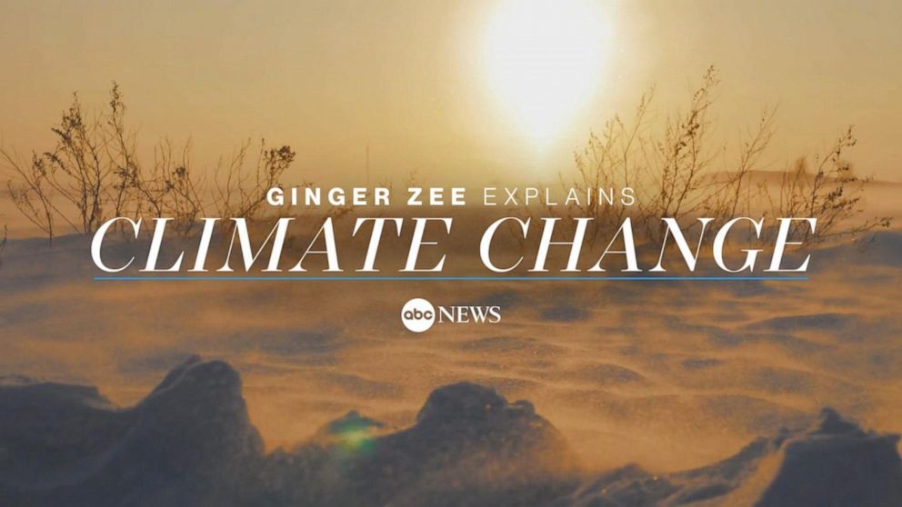 abcnews.go.com