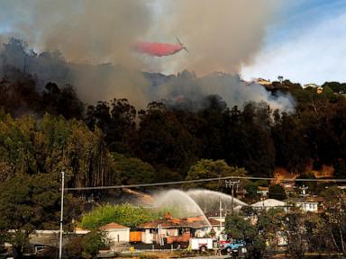 oakland-grass-fire-ap-jt-241019_1729354964713_hpMain_4x3t_384.jpg