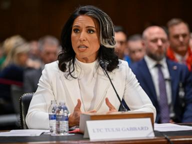 tulsi-gabbard-2-ap-gmh-250212_1739375818212_hpMain_4x3t_384.jpg