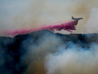 cali-fire-21-ap-gmh-250110_1736543812493_hpMain_4x3t_384.jpg