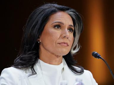 tulsi-gabbard-2-rt-gmh-250130_1738250562338_hpMain_4x3t_384.jpg