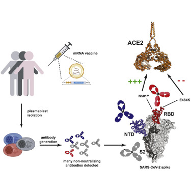 www.sciencedirect.com