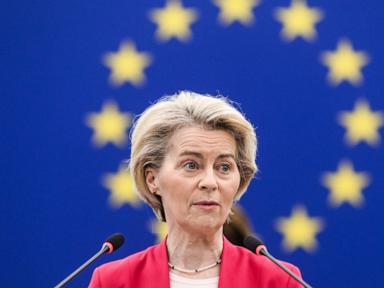 leyen-main_1741762059942_hpMain_4x3t_384.jpg