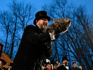 groundhog-day4-ap-ml-240202_1706879057755_hpMain_4x3t_384.jpg