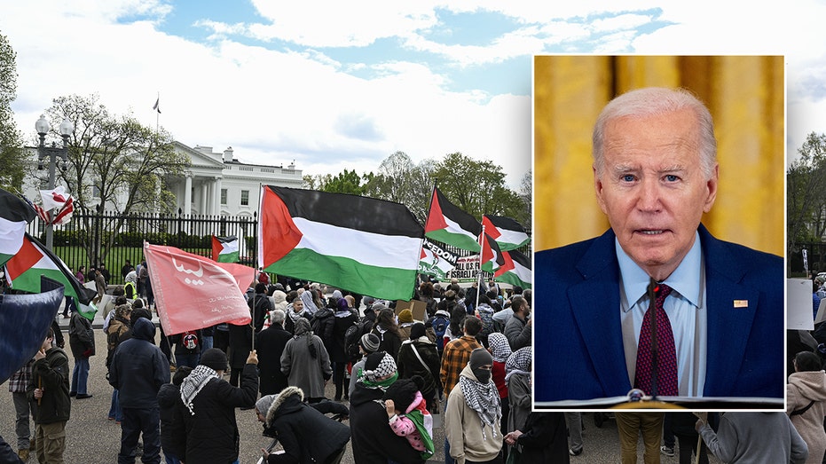palestinian-protest-whitehouse-biden-inset.jpg